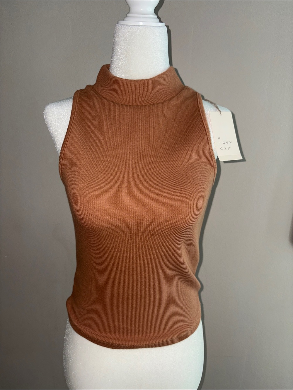 A New Day - Sleeveless Ribbed Mock Neck Top in Rust